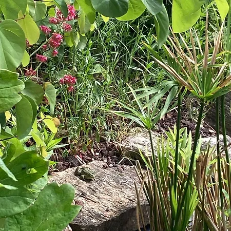 Saumur Loire Et * Vernantes