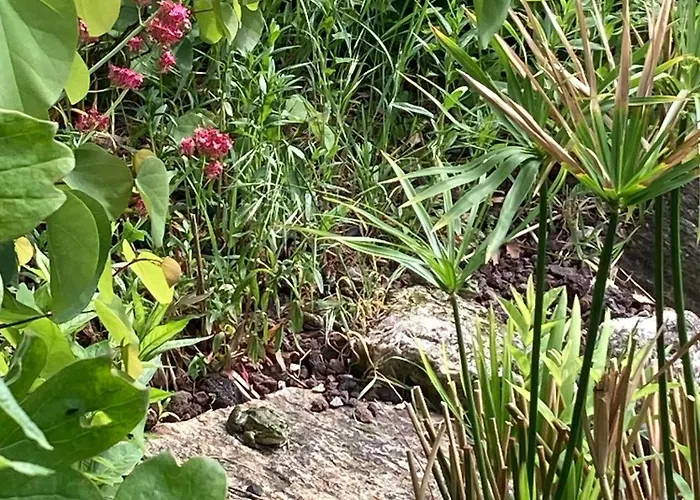 Saumur Loire Et * Vernantes